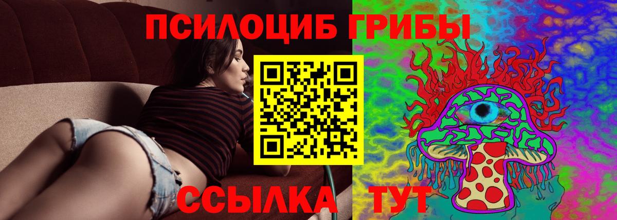 Галлюциногенные грибы Magic Shrooms  Вход с VPN  Галлюциногенные грибы Psilocybine cubensis  Осинники 